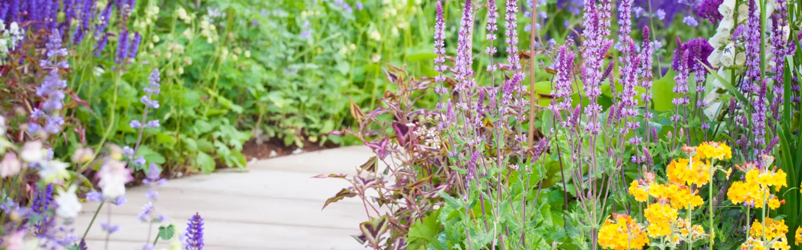 August garden jobs