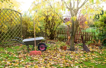 Fall Lawn Care: why and how?