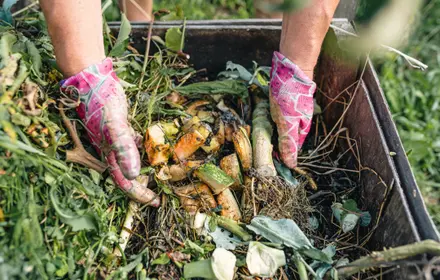 How to start composting