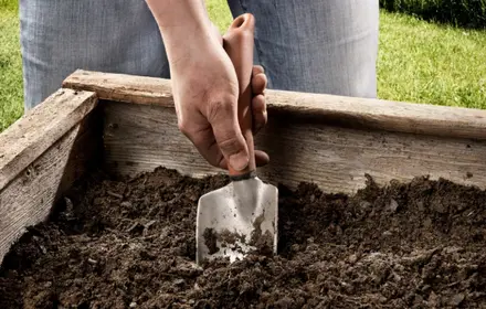 Time to Prep Your Garden Beds!